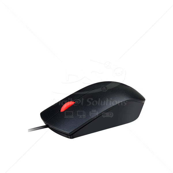 Mouse CNSMALL